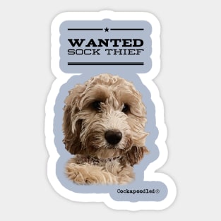 Cockapoo / Doodle Dog Sock Thief Sticker